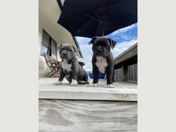 Image 1 of 20