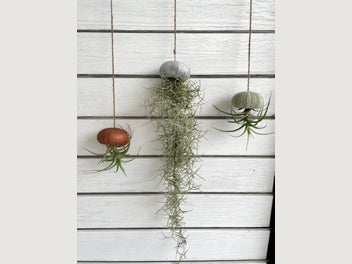 Image 1 of 11