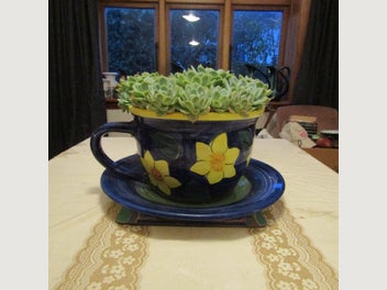 Image 1 of 7