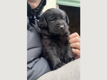 Image 1 of 19