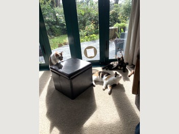 Image 1 of 8