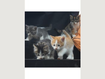 Image 1 of 18