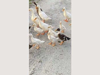 Image 1 of 7