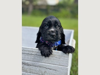 Image 1 of 10