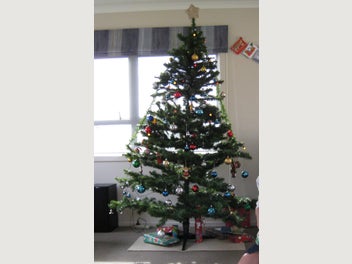Image 1 of 11