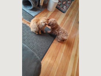 Image 1 of 18