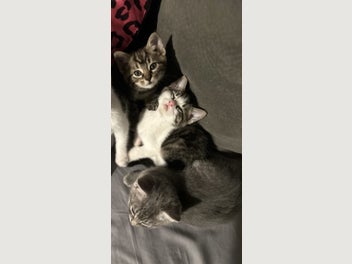 Image 1 of 6