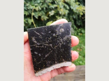 Image 1 of 8
