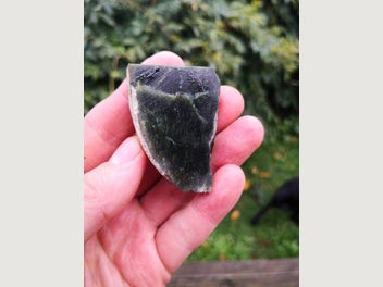 Image 1 of 4