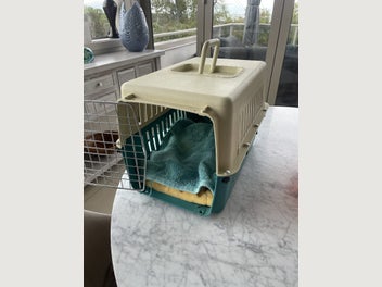 Image 1 of 4
