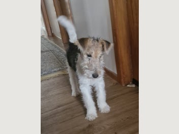 Image 1 of 7