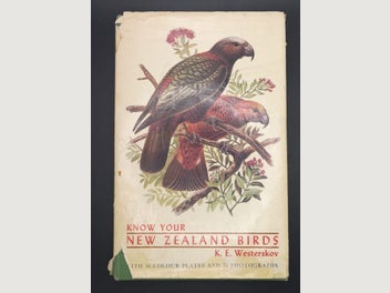 Image 1 of 12