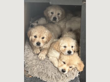 Image 1 of 18