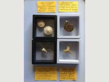 Image 1 of 8