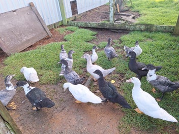 Image 1 of 6