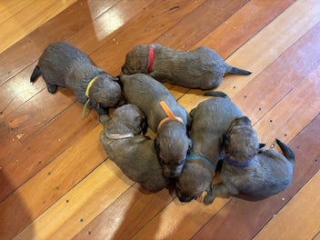 Image 1 of 10