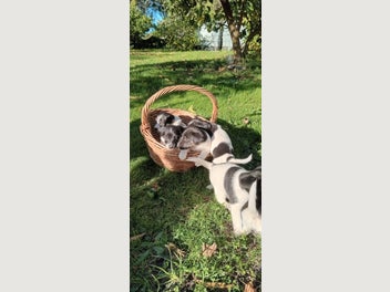 Image 1 of 20