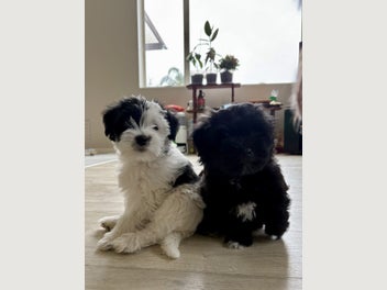 Image 1 of 18
