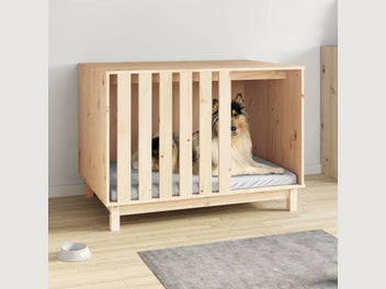 Image 1 of 9