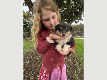 Image 1 of 8