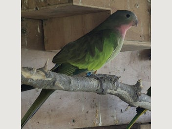 Image 1 of 11