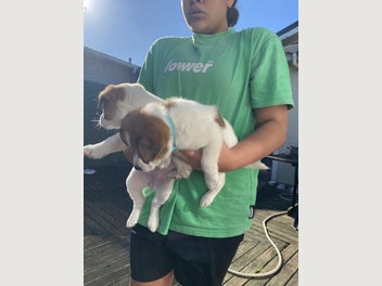 Image 1 of 13