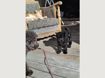 Image 1 of 16