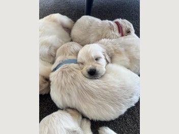 Image 1 of 12