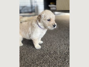 Image 1 of 12