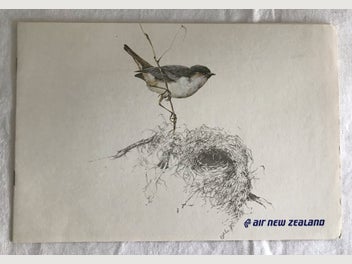 Image 1 of 8