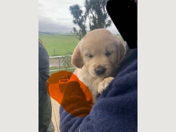 Image 1 of 20