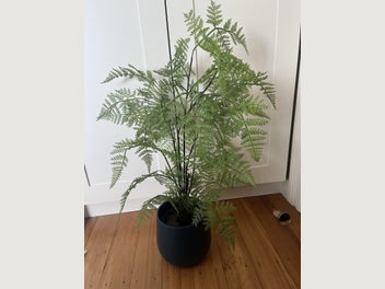 Image 1 of 7