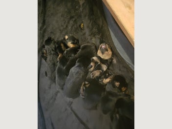 Image 1 of 9