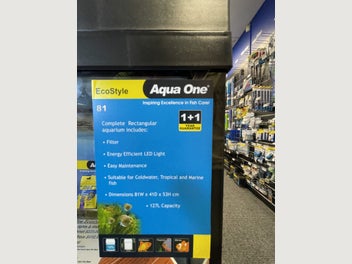 Image 1 of 12