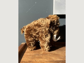 Image 1 of 5