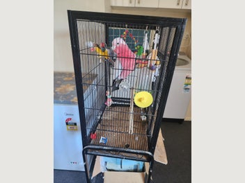 Image 1 of 2