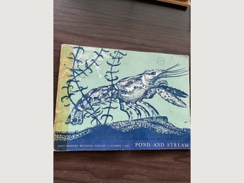 Image 1 of 6