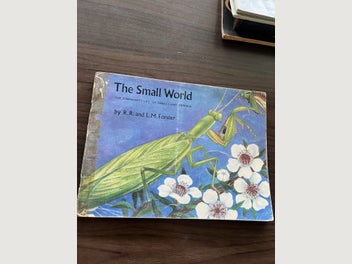 Image 1 of 5