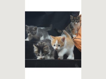 Image 1 of 18
