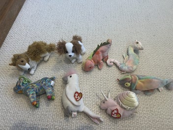 Image 1 of 5