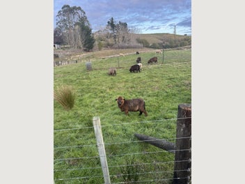 Image 1 of 6