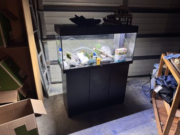 Image 1 of 12