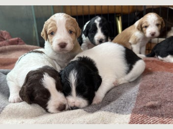 Image 1 of 20