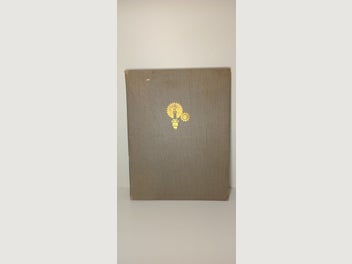 Image 1 of 14