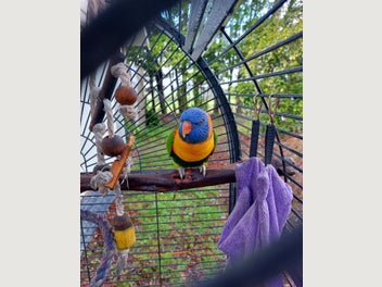 Image 1 of 5