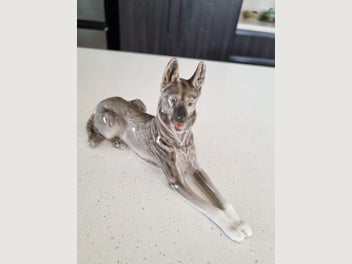 Image 1 of 5