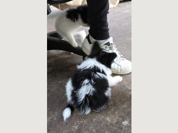 Image 1 of 19