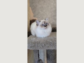 Image 1 of 8