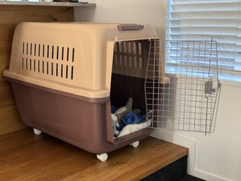 Image 1 of 6