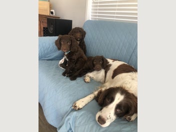 Image 1 of 18